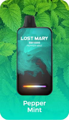 Lost Mary BM 16000