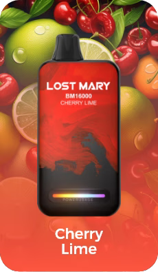 Lost Mary BM 16000