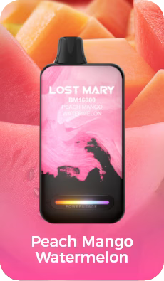 Lost Mary BM 16000